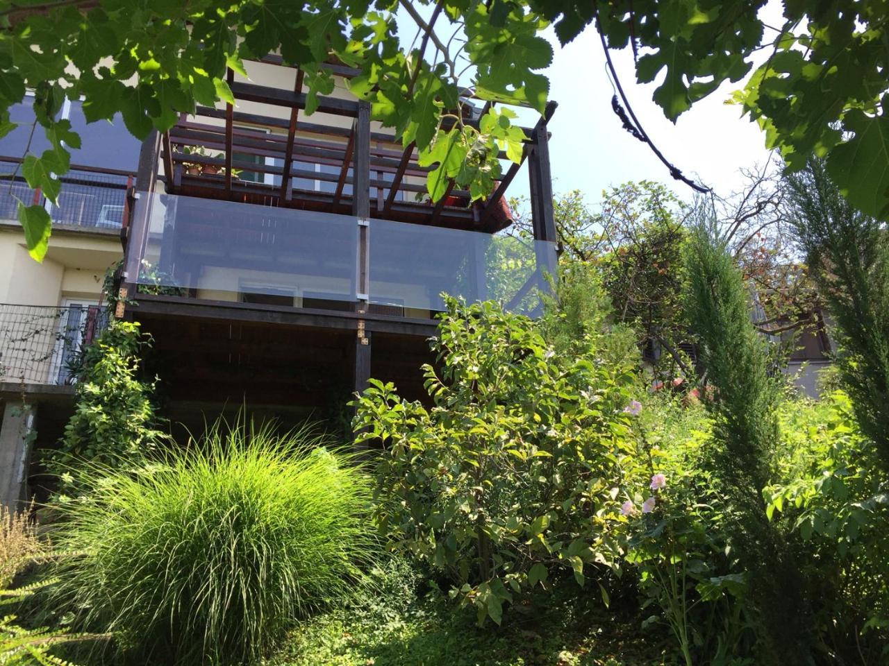 Ferienwohnung Pergola House In A Green Oasis With Fantastic View Petrovaradin Exterior foto